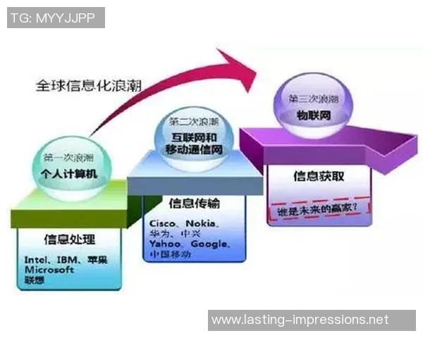 南京排球队进攻革新之路探索与展望分析