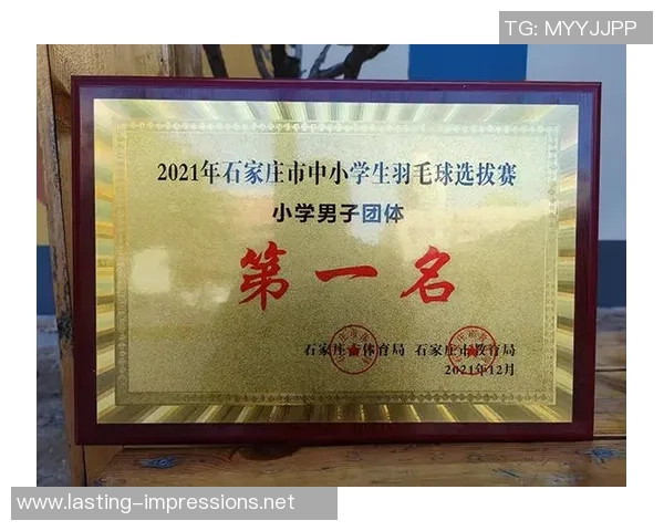 南京羽毛球队意识变革引发热议推动羽毛球运动新发展