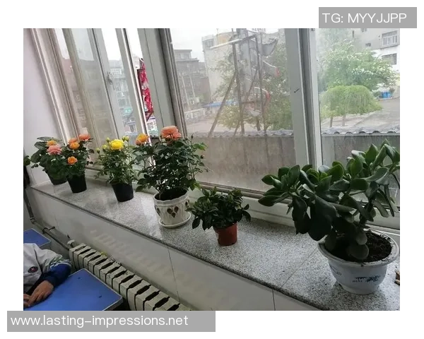 皮肤之下的足球明星们:他们的故事与荣耀交织的旅程 皮肤之下的足球明星们:他们的故事与荣耀交织的旅程