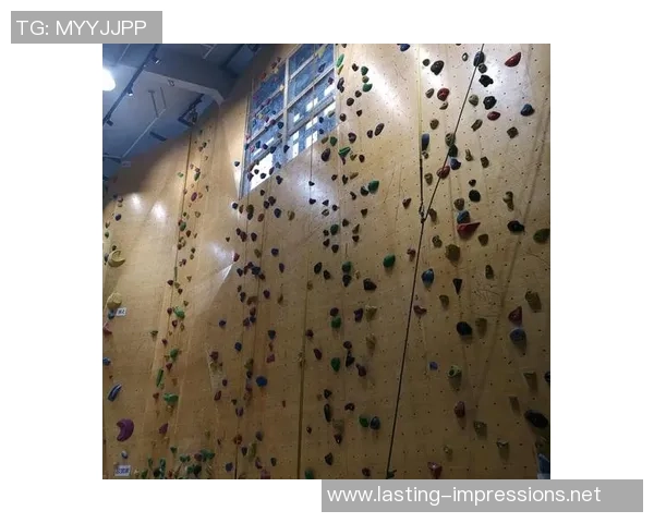 攀岩巨献:探秘南京攀岩队的状态 攀岩巨献:探秘南京攀岩队的状态