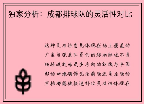 独家分析：成都排球队的灵活性对比