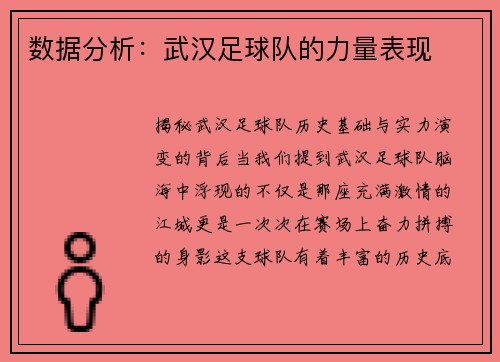 数据分析：武汉足球队的力量表现